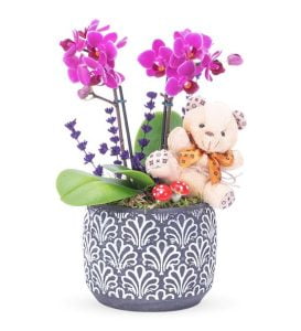 teddy-bear-2-dal-mini-mor-orkide
